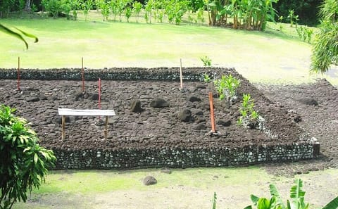 Private Full Day Cultural Tour of Tahiti's Arue and Papara