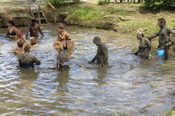 Half Day Nadi Sightseeing & Mud Pool Tour
