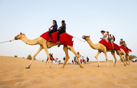 Dubai Combo:City Tour and Premium Desert Safari with all Activities