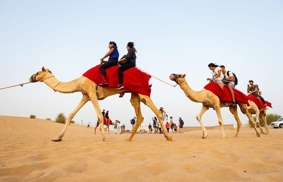 Dubai Combo:City Tour and Premium Desert Safari with all Activities