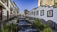 Sunday markets: Santa Brígida, San Mateo and Teror 2