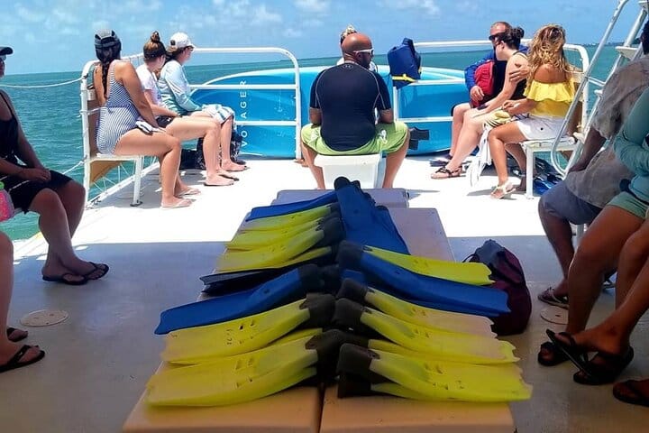 Small-group snorkeling in Key Largo