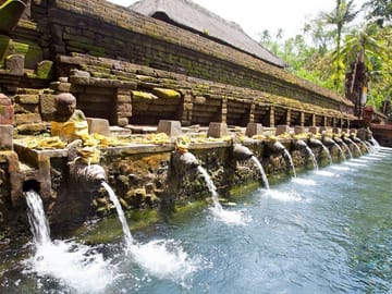 Private Full-Day Bali Tour: Temples and Rice Terraces