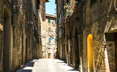 Explore Siena's Cathedral and Piazza del Campo on a Guided Tour