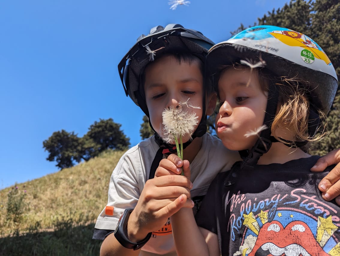 Appia Antica and Catacombs by ebike: guided tour with Private Transfer from Circus Maximus 4