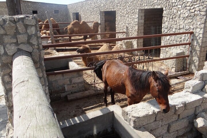 gala achaeological and ethnographical museum_tour_absheron