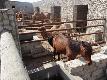 gala achaeological and ethnographical museum_tour_absheron
