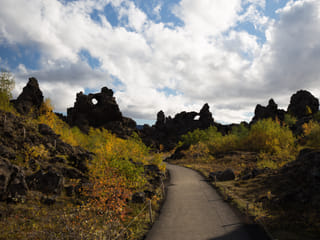 6 Day - Iceland Ring Road, photo 8