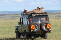 Masai Mara game drive