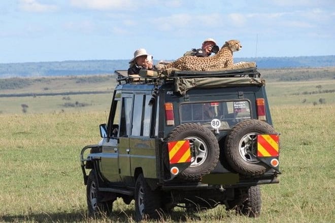 Masai Mara game drive