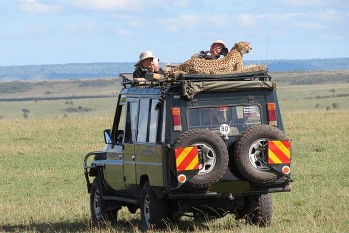 Masai Mara game drive