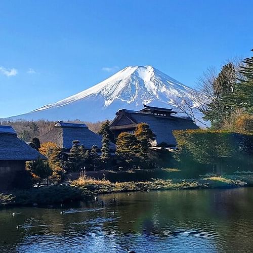 2 Days Tour Mount Fuji and Hakone