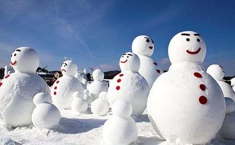 Private Tour of Nami Island, Elysian Ski Resort, and Garden of Morning Calm