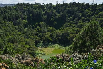 Private South Mauritius Tour: Tea Route with Pickup and Lunch