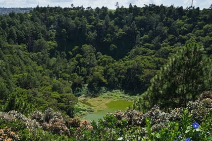 Tea Route: Private South Tour with Pickup and Lunch available