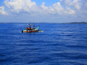 Mirissa Whale Watching Tour 2