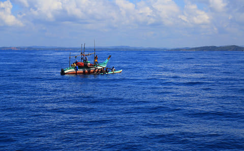 Whale Watching Adventure from Colombo to Mirissa, Sri Lanka