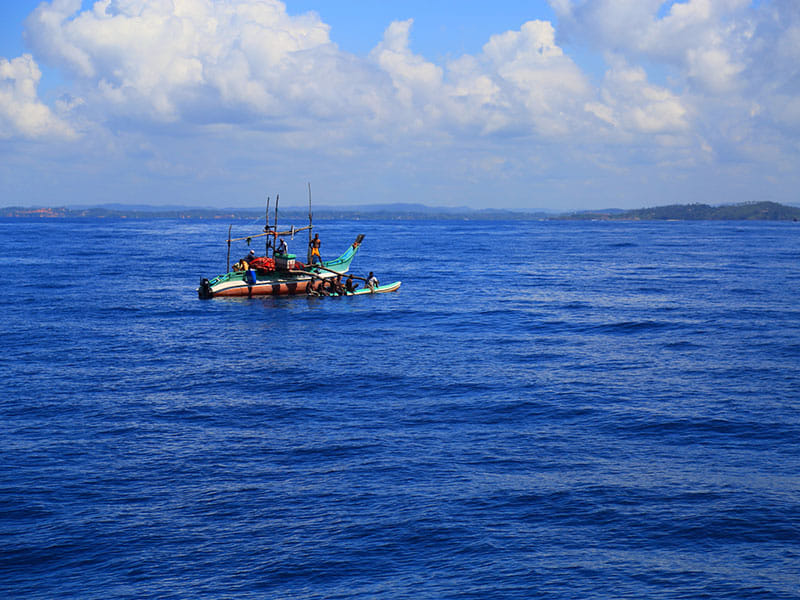 Mirissa Whale Watching Tour 2