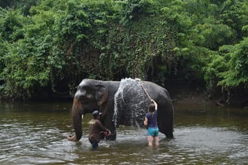 Elephant Sanctuary & Kanchanaburi Highlights Tour