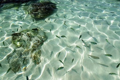 Phuket: Half Day Khai Islands by Speedboat