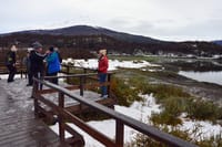 Tierra del Fuego National Park - USHUAIA (Shared tour) 10