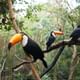 Bird Park