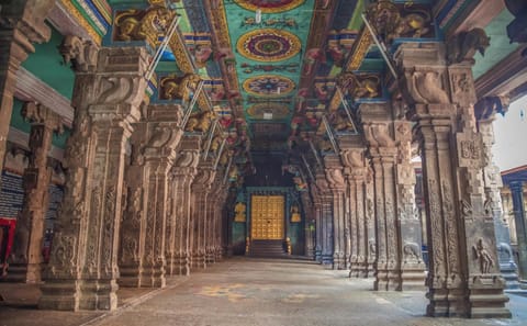 Cultural and Photography Tour of South India's Temples