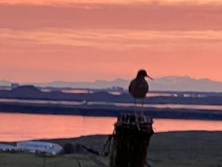Midnight Sun - Viking way ATV Adventure with transfer from Reykjavik, photo 16