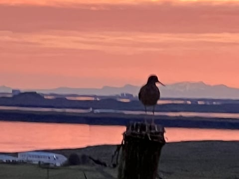 Midnight Sun - Viking way ATV Adventure with transfer from Reykjavik, photo 16
