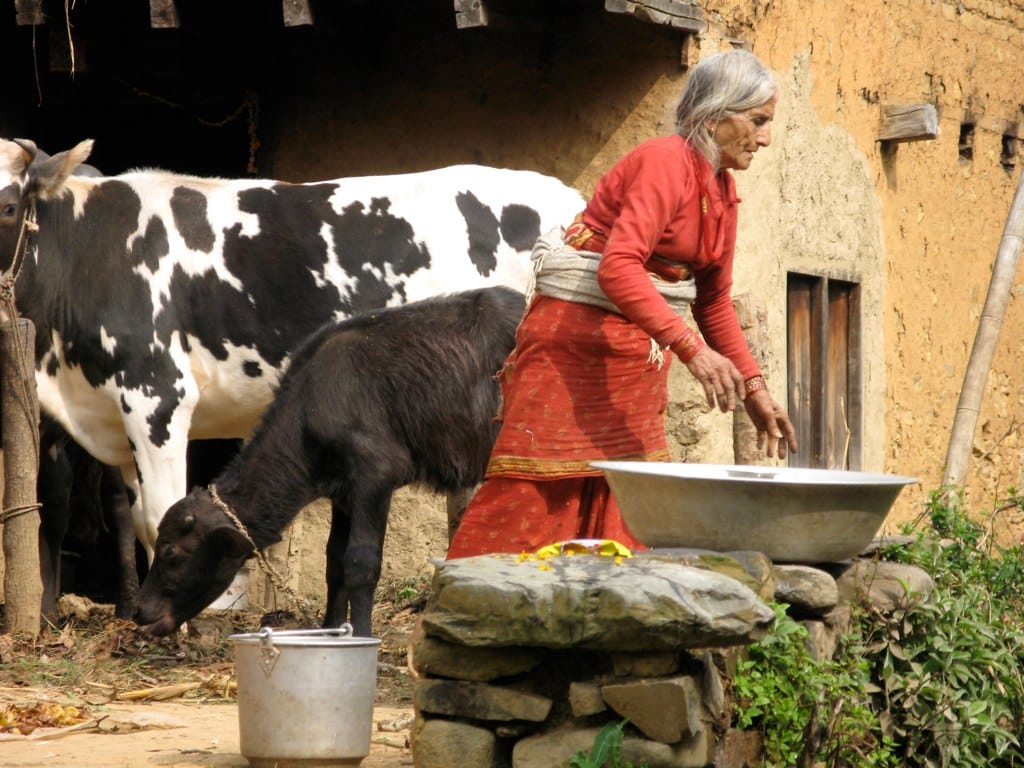 19 Days Mera Peak Climbing & Expedition – One Life-Changing Himalayan Adventure