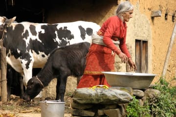Balthali Village Homestay & Community Trek: An Authentic Cultural Escape Near Kathmandu