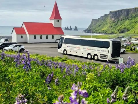 Diamond Beach, Jökulsárlón Glacier Lagoon & Boat Tour from Reykjavík, photo 3