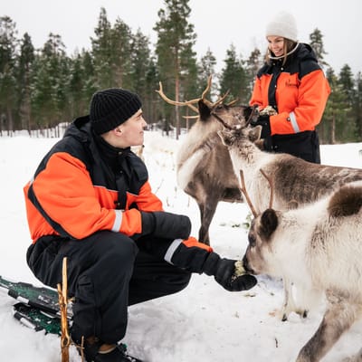Snowshoe trip to meet reindeer in Rovaniemi - Image 4