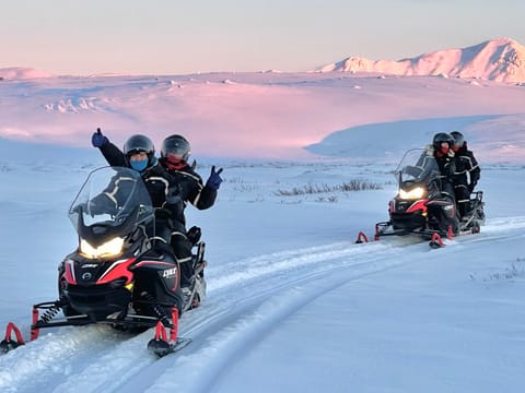 Lake Mývatn 1.Hour Snowmobile Safari