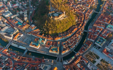 Private Walking Tour of Ljubljana from Bled