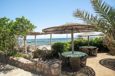 Romantic Sunset Experience at Farsha Café in Sharm El Sheikh