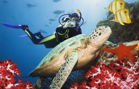 Scuba Diving Adventure in Marmaris with Lunch and Transfers