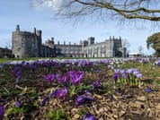 More Than a Mile Walking Tour of Kilkenny in English 1