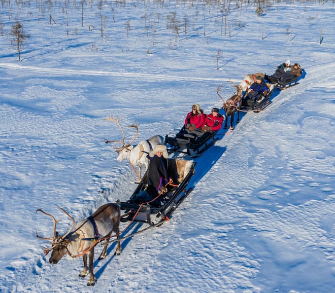 Long Reindeer Safari in the nature of Lapland (sleigh ride about 50-60 min)