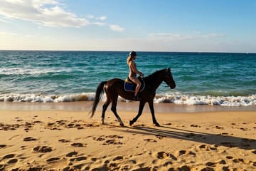 Horseback Riding Adventure in Nabq Bay, Sharm El-Sheikh