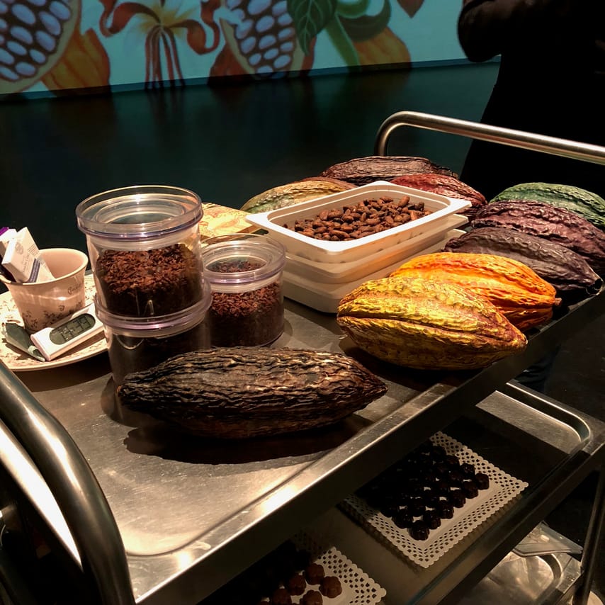 Cocoa pods, beans and nibs are displayed on a table
