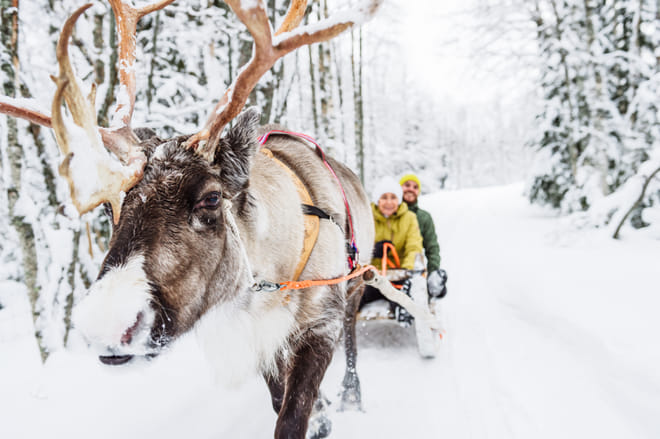 Snowmobile Safari to Reindeer and Husky Farm - Rovaniemi photo 4