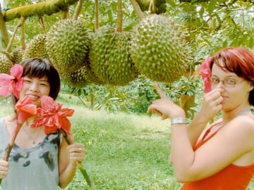 Ko Samui: 4WD Wild Jungle Safari Tour with Lunch