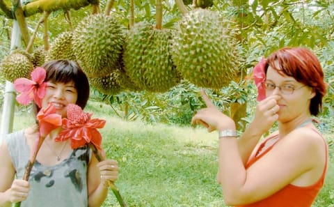 Ko Samui: 4WD Wild Jungle Safari Tour with Lunch