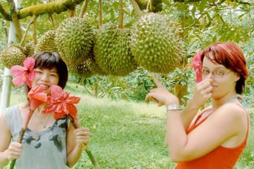 Ko Samui: 4WD Wild Jungle Safari Tour with Lunch
