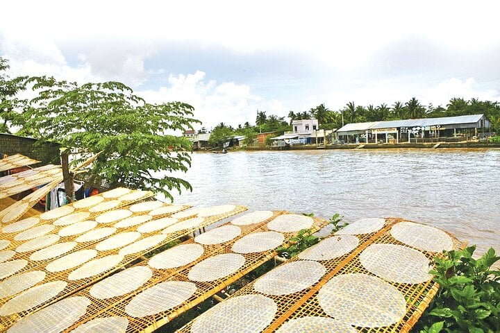 Rice paper drying process