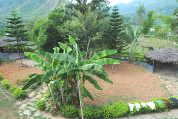 8-Day Sirubari Village Homestay Hiking Tour