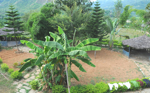 8-Day Cultural Homestay and Hiking Tour in Sirubari, Nepal