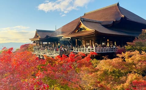 Kyoto Highlights: Private Tour Full-Day English Driver & Van