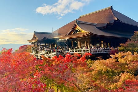 Explore Kyoto in Style: Temples, Shrines & Cultural Highlights